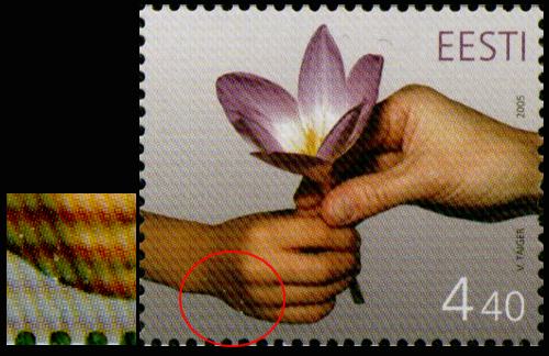 ENN_319_viga1.jpg