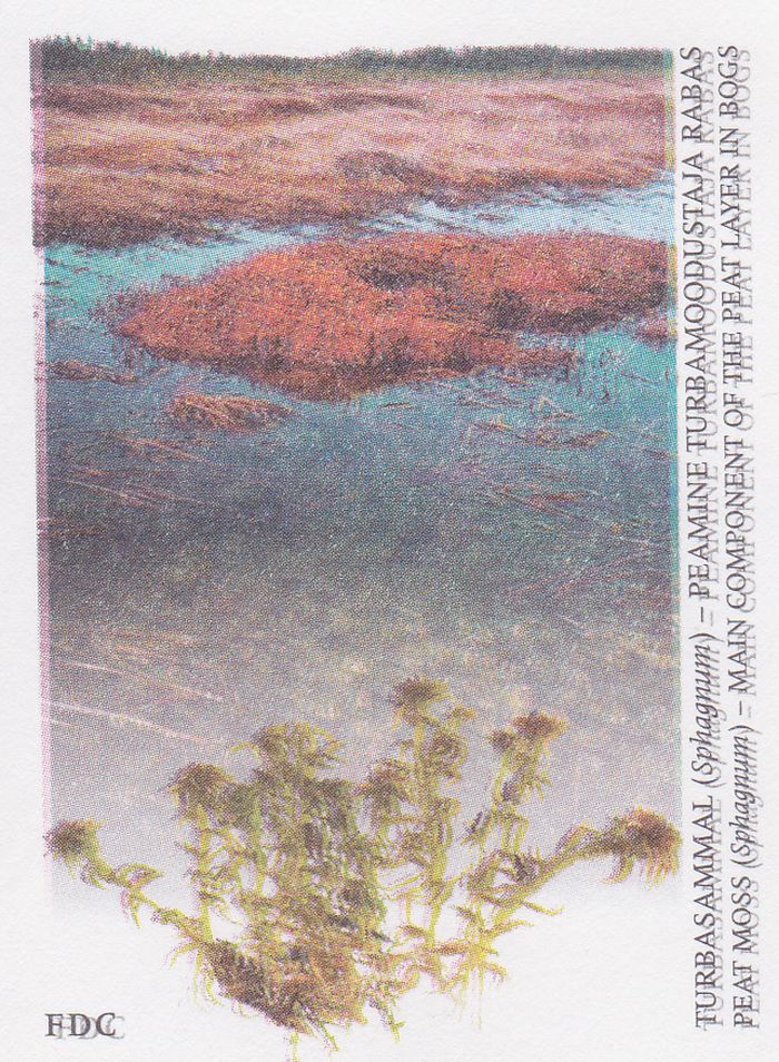 FDC 1999-5 esikülje pilt.jpg