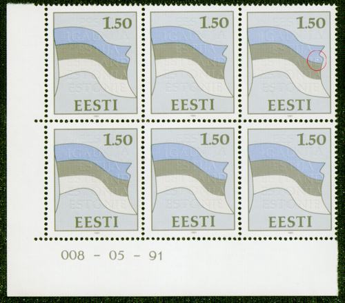 ENN_008_viga1.jpg