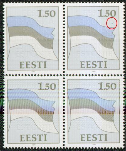 EN_008_viga1.jpg