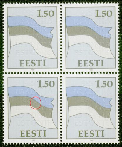 EN_008_viga2.jpg
