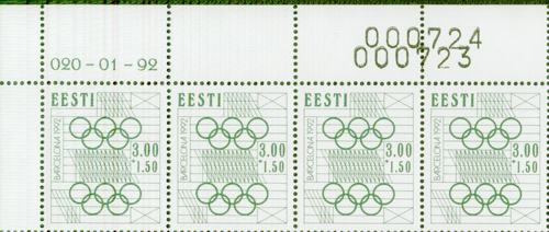 ENN_020_viga1.jpg
