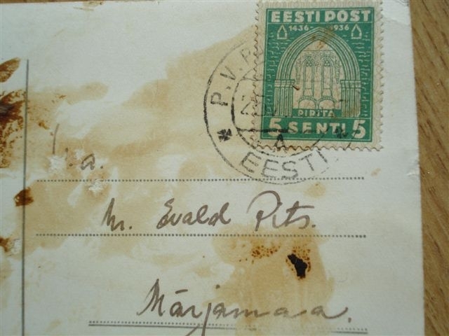 postivagun 1.JPG