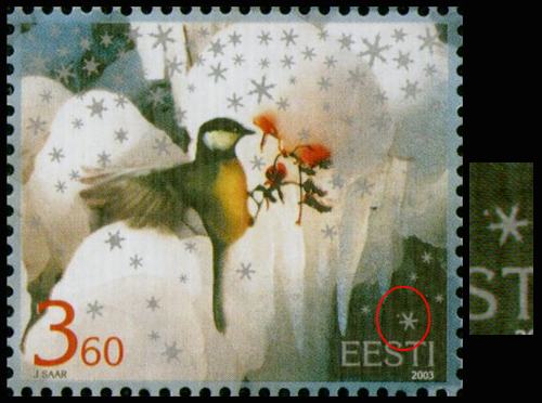 ENN_284_viga1.jpg