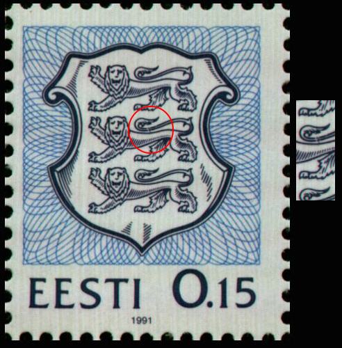 EN_003_3_viga16.jpg