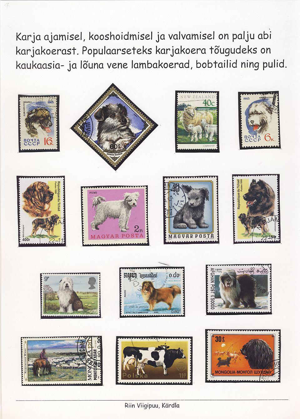 Leht-1-